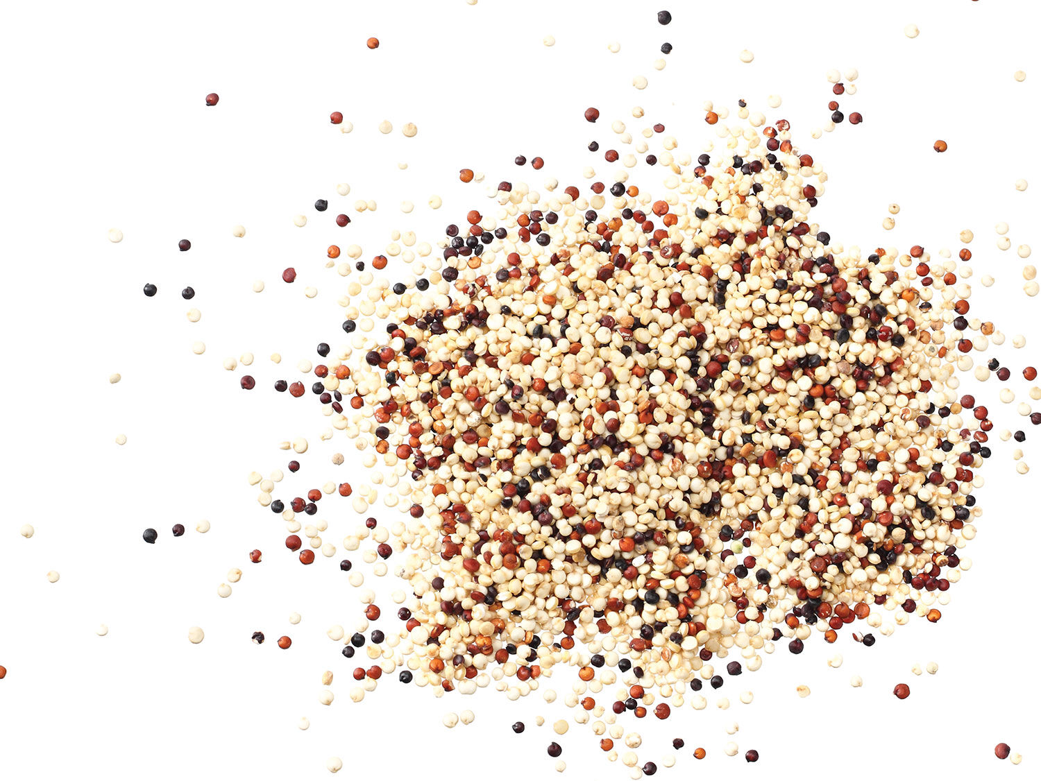 Quinoa